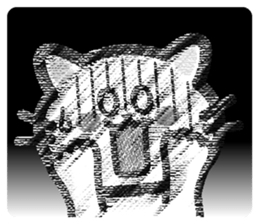 530711668