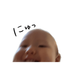 530737490