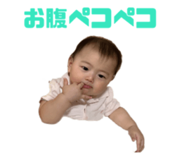 530737677