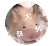 530753503