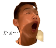 530775969