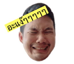 530780375
