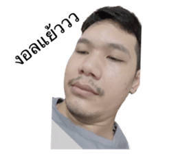 530780387