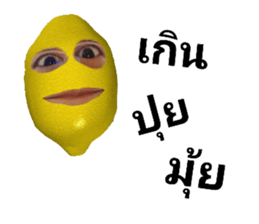 530781582