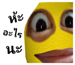 530781584