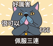 530801354