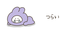 530801506