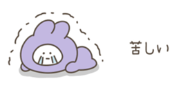 530801507