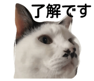 530805870