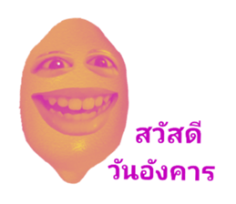 530836841