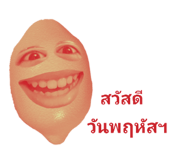 530836843