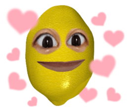 530836853