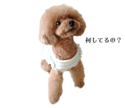 530851254