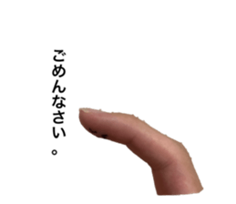 530855664