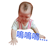 53085614