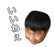 530878954