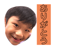 530878956