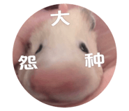 530883208