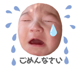 530935550