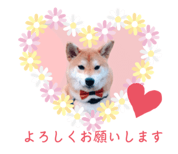 530950170