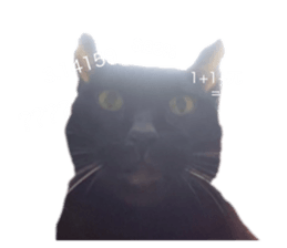 530969934