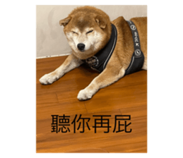 530975211