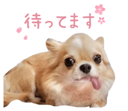530980184