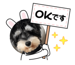 531099196