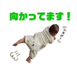 531129162