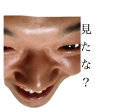 531129733