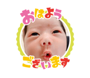 531144113