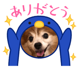 531145878