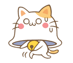 5312376