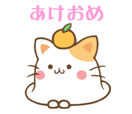 5312394