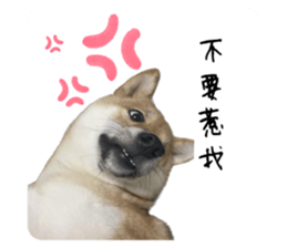 531262255