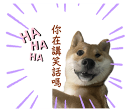 531262259