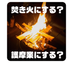 531311419