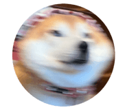 531312393