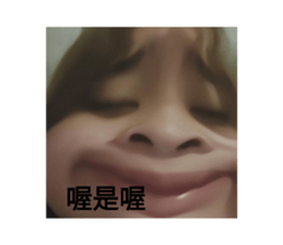 531328030