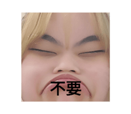 531328036