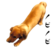 531345000