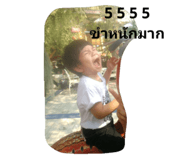 53136859