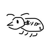 531376561