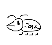 531376562