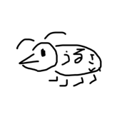 531376563