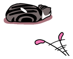 5314457