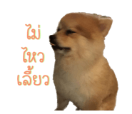 531463195