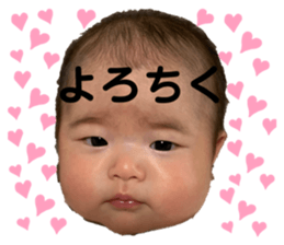 531499365