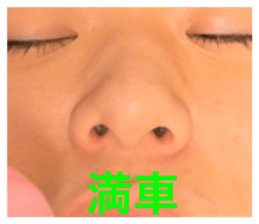 531543013