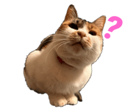 531546964
